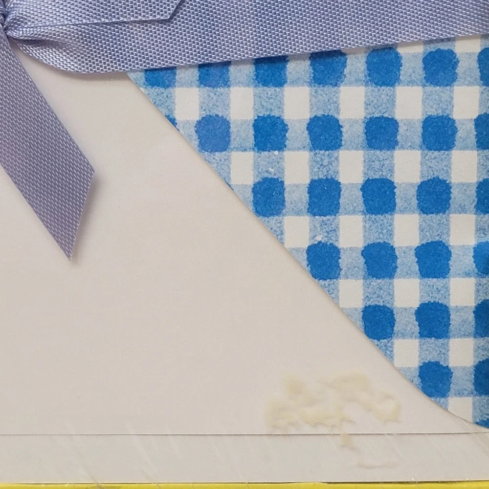 Vintage Mead Montag Freckles N Frills Stationery Set 1983 Blue Gingham NEW‎